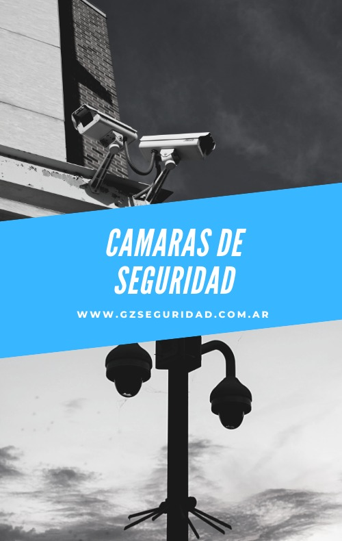 Servicio 7